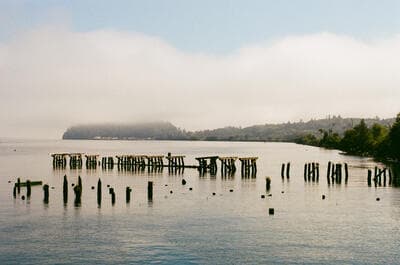 oregon-2.jpg