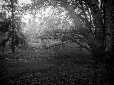other-6.jpg