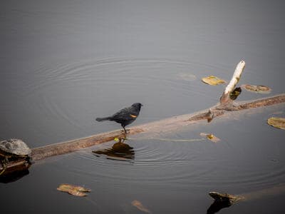 other-7.jpg
