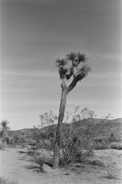 san-diego-10.jpg