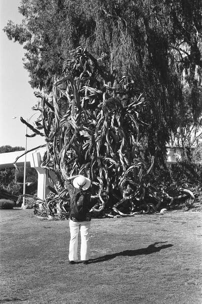 san-diego-9.jpg